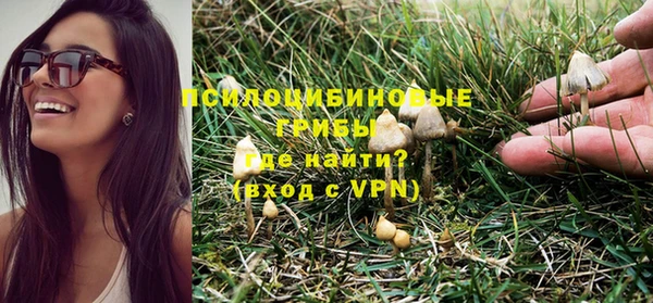 apvp Арсеньев