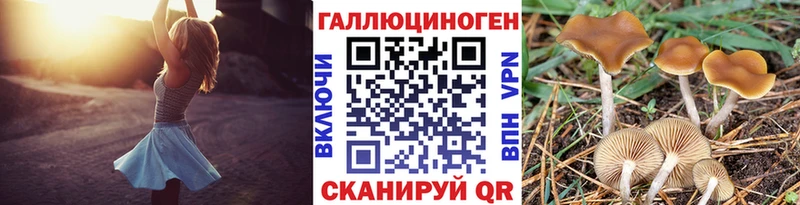 Галлюциногенные грибы Cubensis  Сенгилей 
